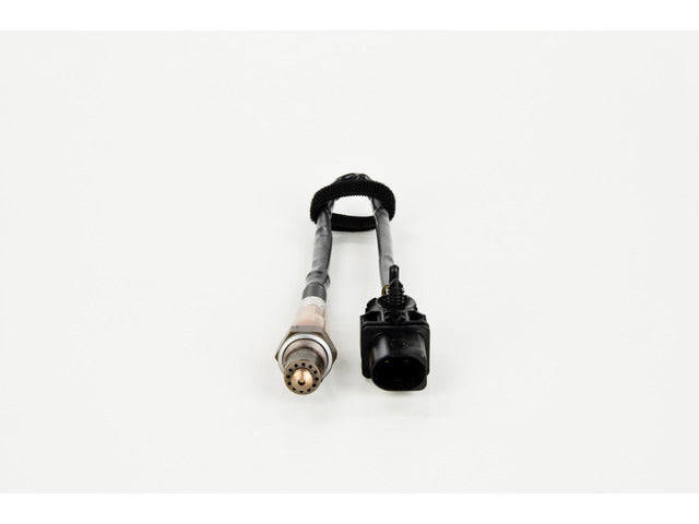 Oxygen Sensor 17319