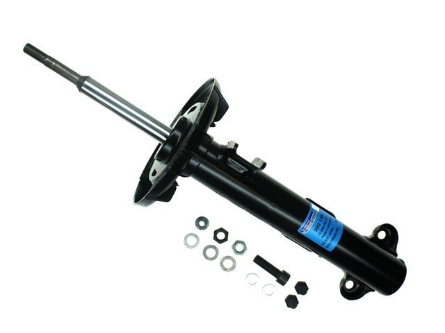 Strut Assembly 300 139