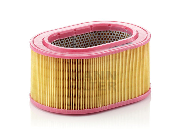 Air Filter C 2596