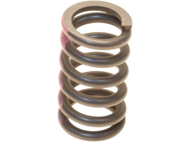 Exhaust Spring 20074-8H30A