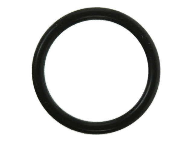 Water Outlet Gasket 36043