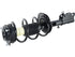 Strut/Coil Spring Assy 2701-518484