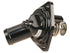 Thermostat Assembly WH-HNG-78