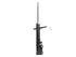 Strut Assembly 71680