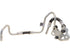 AT Oil Cooler Hose Assembly JL3Z7R081H