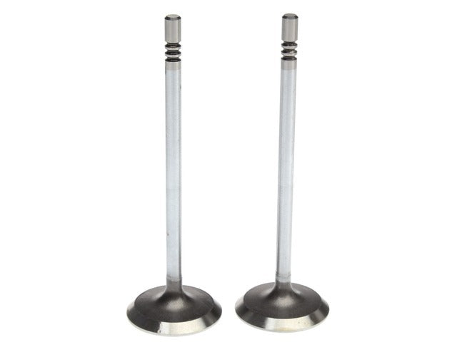 Intake Valve 2114611