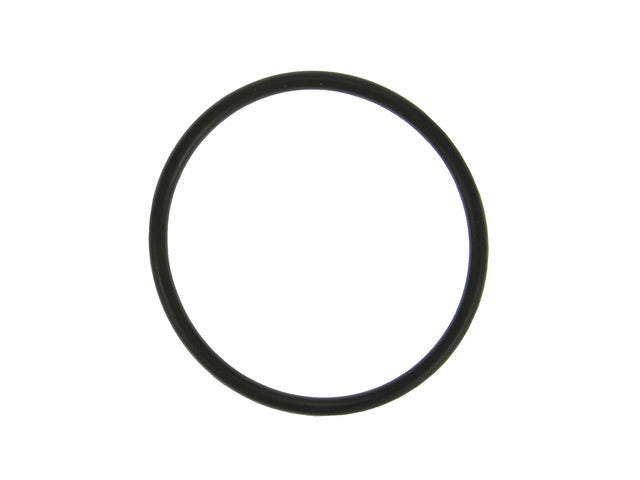 Thermostat Gasket 35991