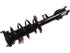 Strut/Coil Spring Assy 2701-717847