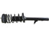 Strut/Coil Spring Assy 2701-256875
