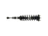 Strut/Coil Spring Assy SR4465