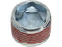 Differential Drain Plug 8030064-M