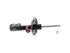 Strut Assembly 3350027