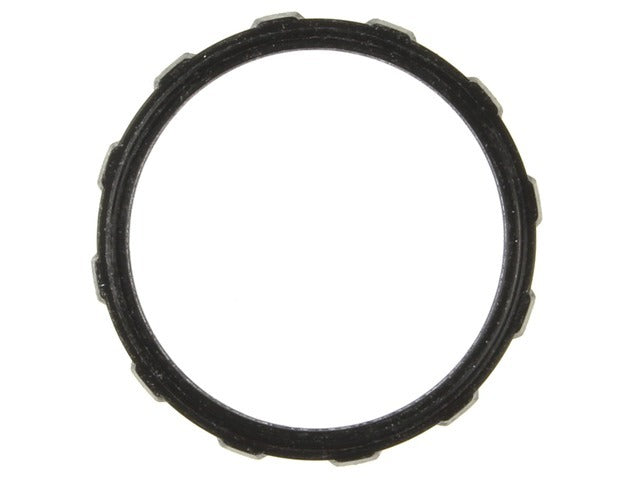 Thermostat Seal / O-Ring C32668