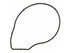 Water Pump Gasket 35724