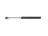 Trunk Strut 510-114