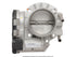 FI Throttle Body 679007