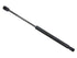 Hood Strut 826023