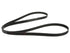 Drive Belt 6PK2230