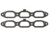Intake Plenum Gasket MS19480