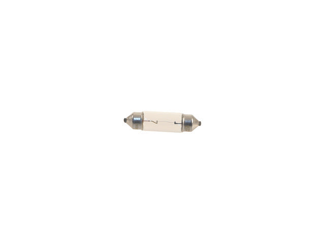 Light Bulb 1864505009N