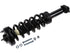 Strut/Coil Spring Assy 2701-656389