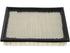 Air Filter 5000-202719