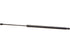 Hatch Strut 055236