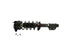 Strut/Coil Spring Assy SR4037