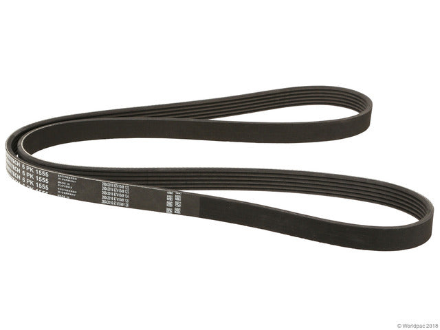 Drive Belt 6PK1555