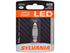 Bulb 6418LED.BP