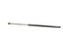 Hatch Strut TFS611520