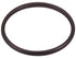 Thermostat Gasket C31302