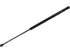 Hatch Strut TFS612150