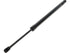 Hatch Strut TFS611311