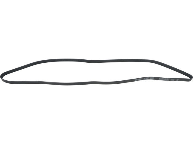 Drive Belt 1602-360334