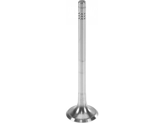 Exhaust Valve 331132