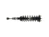 Strut/Coil Spring Assy SR4466