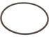 AT Filter O-Ring 31526-04X3C