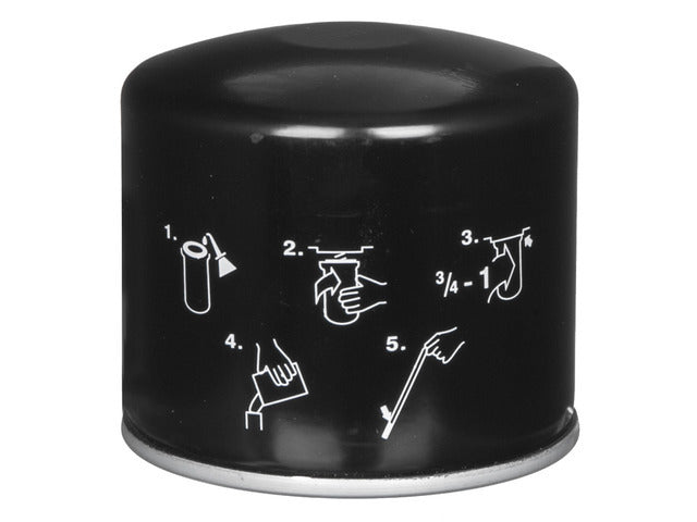 Engine Oil Filter PF17019A