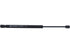 Back Glass Lift Support TFS613526