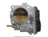 FI Throttle Body 672010