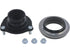 Strut Mounting Kit 2702-496979