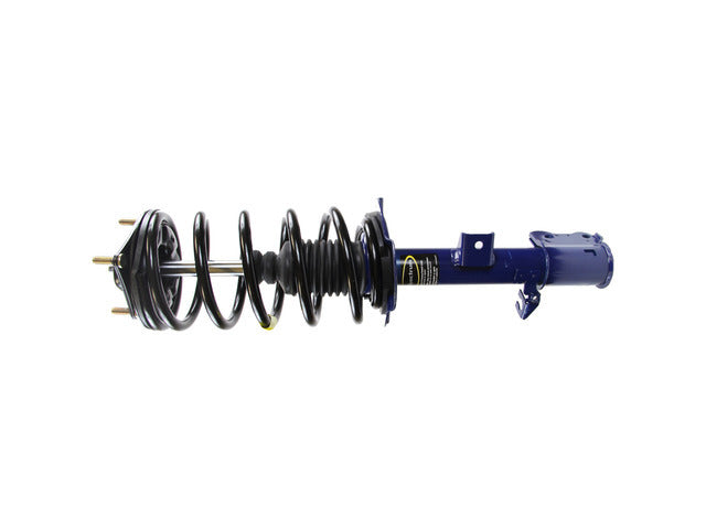 Strut/Coil Spring Assy 181593