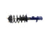 Strut/Coil Spring Assy 181593