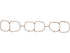Intake Plenum Gasket MS19419