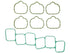 Intake Man. Gasket Set MS19919
