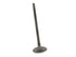 Intake Valve 211-4046