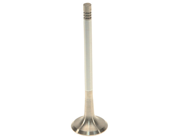 Exhaust Valve 331126