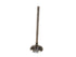 Exhaust Valve EVX5-36020