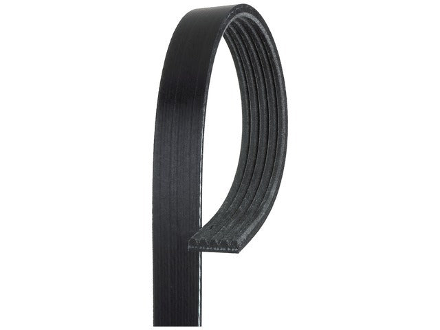 Drive Belt K050689
